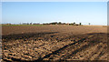 View across fields towards Fishley