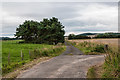 NU1336 : Track junction near Ross by Ian Capper