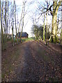 Bridleway leaves woodland on way north towards Rowhook