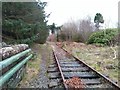 Overgrown trackbed