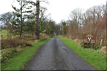 NS2310 : Road to Culzean Castle & Visitor Centre by Billy McCrorie
