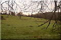 Fields near Green Lane, Chessington