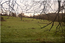 TQ1863 : Fields near Green Lane, Chessington by Mike Pennington