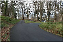 NS2310 : Left for the Castle and Right for the Visitor Centre, Culzean by Billy McCrorie