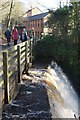 Weir, Cote Ghyll