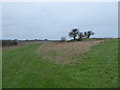SU1575 : Bowl barrow, south-east of Barbury Castle Farm by Vieve Forward