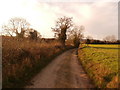 Hindley Lane near Tickhill