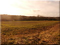 View Across Paper Mill Dike