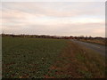 Crop Field near Limestone Hill Farm