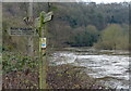 The River Severn at Folly Point