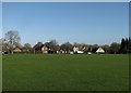 Reed Cricket Ground in winter