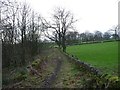 The footpath to Sowdens