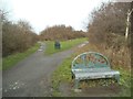 Bench at Fens Pool