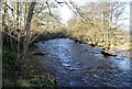 River Nidd