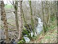 Chapel Beck, downstream of Walk Mill Bridge