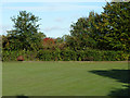 Bowling green, Woodcock Park