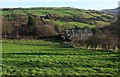 Farm near Osmotherley