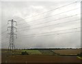 Pylon by the Midland Mainline