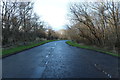 Exit Road from Eglinton Country Park