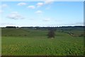 Farmland off Cobby Syke Road