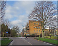 The Rustat Road end of Davy Road in January