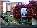 Ivy clad telephone box, Edenderry