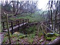 TQ1134 : Footbridge in woodland near Bury St Austen's by Shazz
