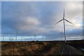 N5127 : Mount Lucas Wind Farm Co. Offaly by Kenneth Gallery Smyth