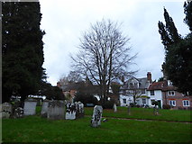 TQ2122 : St Peter's Church, Cowfold: churchyard (4) by Basher Eyre