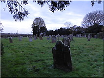 TQ2122 : St Peter's Church, Cowfold: churchyard (12) by Basher Eyre
