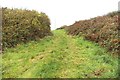 V8837 : Green track - Cashelfean Townland by Mac McCarron