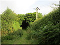 Footpath to Chalmington