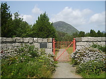 J3021 : Small style Belfast & District Water Commissioners gate in the gardens below the Silent Valley Dam by Eric Jones