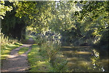 SU3967 : Kennet & Avon Canal by N Chadwick