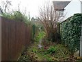 Footpath between gardens, 2