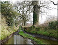 Muddy Track at Westford Park Farm Cottage