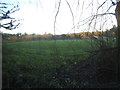 Field by Watling Street, Radlett