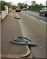 SX9065 : Signs blown over, Cricketfield Road, Torquay by Derek Harper