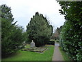 SS Peter & Paul, Lingfield: churchyard (iii)