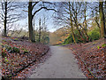 SD8204 : Path into the Dell Gardens, Heaton Park by David Dixon