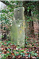 Benchmark on Kingston Bagpuize / Fyfield boundary stone