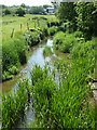 River Roding at Hallsford Bridge