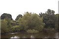 Manchester Ship canal bank near Partington