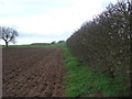 Hedgerow and field, Stone Hills