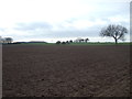 Ploughed field, Stone Hills