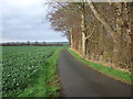 Road to Brackendale Farm