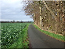 TA1563 : Road to Brackendale Farm by JThomas