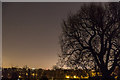 TQ2995 : Night View over Enfield by Christine Matthews