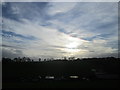 Tree silhouettes on the skyline south east of Lower Bottom House Farm