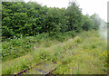 Disused railway line at Leekbrook, Staffordshire